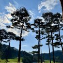 센테리움CC(대중제) 이미지