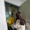 거북이과자점 경인매일