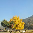 신당마을회관 이미지