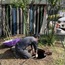 믿음배관 이미지