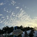 비토애 | 🌅바다 바로 앞 감성 글램핑! 19개월 아기와 사천 ‘비토애 글램핑’ 완벽 후기