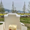 [임신 20-22주차] 연제일신 조리원 예약 🏨 부산진구 보건소 철분제 지원🩸 스시쿠도쿠 🥢 22주차 정밀초음파