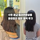 느낌안마시술소 | 수원 광교 염색 하이컬러 컬러전문살롱 현 컬러리스트 후기