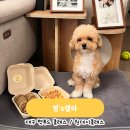 멍`s 이미지