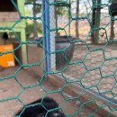 일근농장 이미지