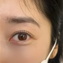 아이리스 | 수지구청역 속눈썹펌 잘하는 곳 찾는다면 아이리스브로우 추천