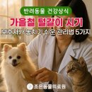 조은동물의료원 이미지