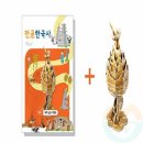 쓰리디 컴퍼니