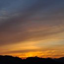 슈가브리움 이미지