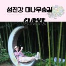 섬진강대나무숲길 | 구례 가볼만한 곳 섬진강 대나무 숲길 여행 후기