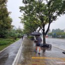 동막역 2번출구 이미지