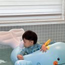 포항 펜션 프레젠트 | 포항 키즈 풀빌라 온수풀 수영장 있는 독채 오션뷰 펜션 엔젤스테이