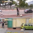 아롱이네 농장 이미지