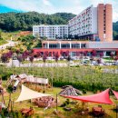 소노벨 청송 이미지