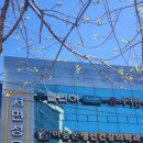 달리아에스테틱(부산서면점) | [서면 피부관리] 달리아에스테틱 부산서면점, 남자 윤곽관리부터 압출까지 대만족 후기