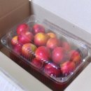 늘푸른영농 이미지