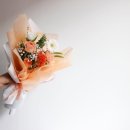 자이라플라워인동점
