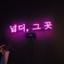 넙디로 이미지