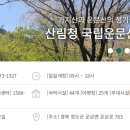 국립운문산자연휴양림야영장 이미지
