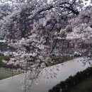 우암산순환로 이미지