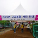 양주시 나리공원 천일홍축제장 1 (2023.9.16.토) 이미지