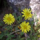 명인상사 이미지