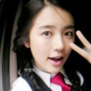 은냥이네 이미지