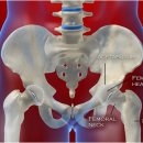 소운소 Ark Gym 이미지