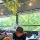 강아지 동반 계곡 서울 근교 양주 장흥 계곡 도깨비방망이 내돈내산 후기