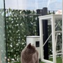 고양이 주택 | 신림 고양이 카페 - 냥이주택 방문 후기