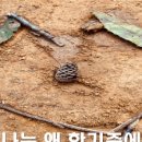 혜림유치원 이미지