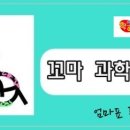 놀이랑과학실험실(식물) 이미지
