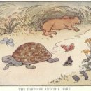 토끼와거북이 이미지