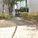 신선마을 이미지