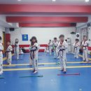 다이어트태권도장 | 다이어트 목적으로 태권도를 하면 어떤 변화가 생길까? - 부천 중동 경희대 박사 현대 태권도장