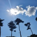 둔내면재래시장 | 강원도횡성 모모의 다락방 펜션 투숙후기 첫번째(시에스타)