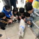 성서종합동물병원 이미지