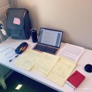반딧불STUDY | [미국유학] 반딧불이 처음본 날! 🌌 쿠진아트 F10 와플 메이커 후기/ 아마존 싱크대 정리대 추천