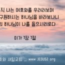 새일농장 네이버블로그