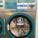 아쿠아워시경산 이미지