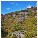 신화식육점 이미지