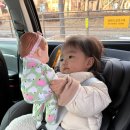 콩콩이 | [아기장난감]10개월아기장난감 최애인형 '옹알이콩콩이' 내돈내산 구매후기