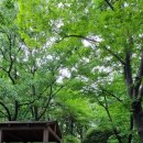 만수근린공원 이미지