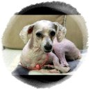 대전동화초등학교 이미지