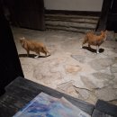 갈산면 대사마을회관 | [2편] 2살 아가랑 PCX로 4박5일 반국투어