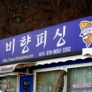 비향피싱