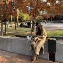 컬러모아 이미지