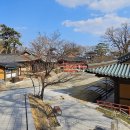 도리사로 이미지