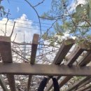 계곡면사무소 이미지