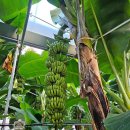 큰삼촌농촌체험마을 이미지